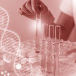 Integrating SEND with Other CDISC Standards: A Holistic Approach