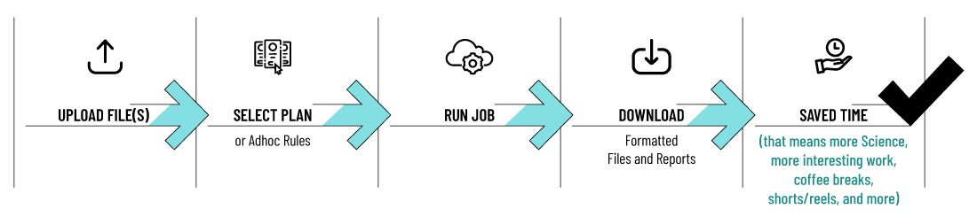 Formatting-Automation-Process-Flow